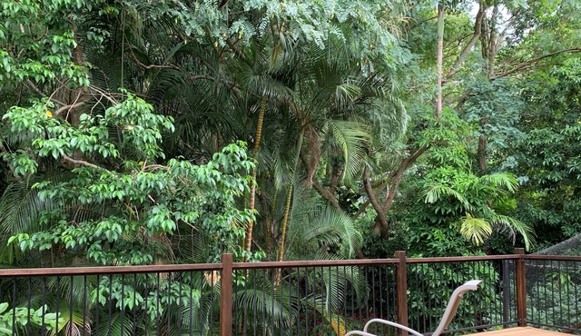 Central Buderim 1 Bed Apartment