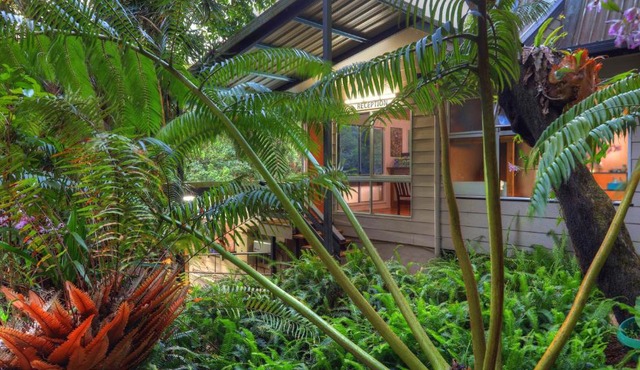 Chambers Wildlife Rainforest Lodges