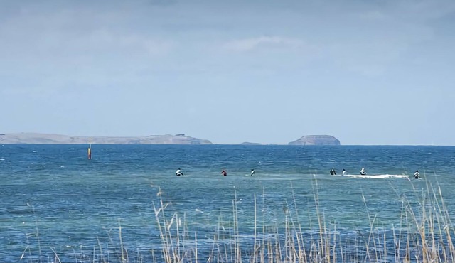 Country Living by the Seaside - Pet Friendly