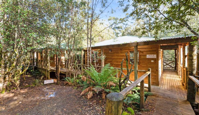 Cradle forest inn