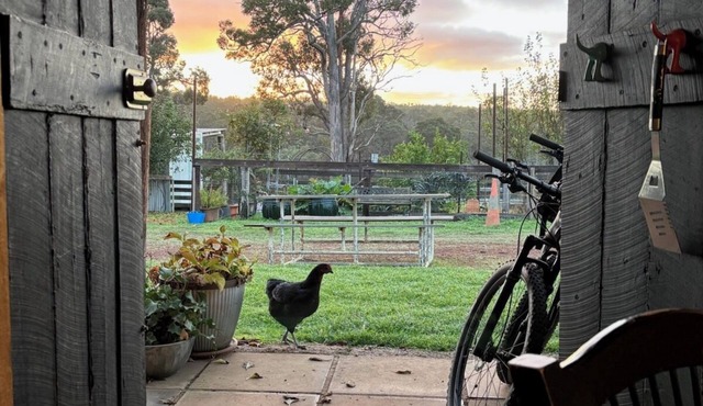 Crystal Valley Outcamp - Shearers quarters bunkstyle accommodation