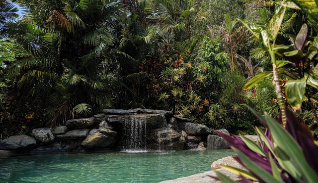 Daintree Beach Resort