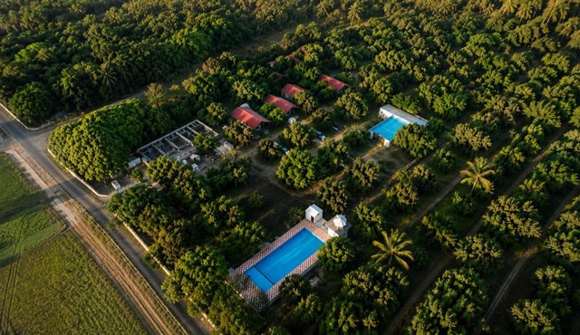 Danak Farm in Sasan Gir