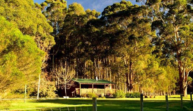 Diamond Forest Farm Stay