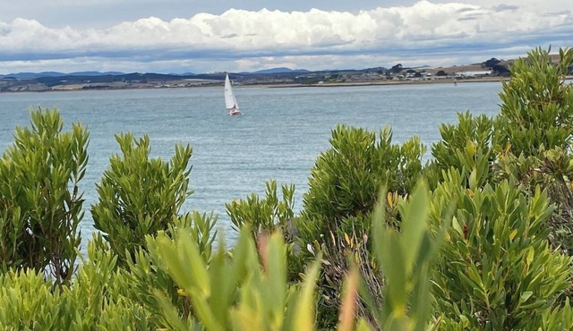 Driftaway@ Devonport