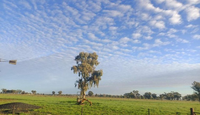 Dubbo Farm