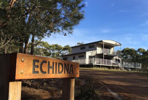 Echidna on Bruny