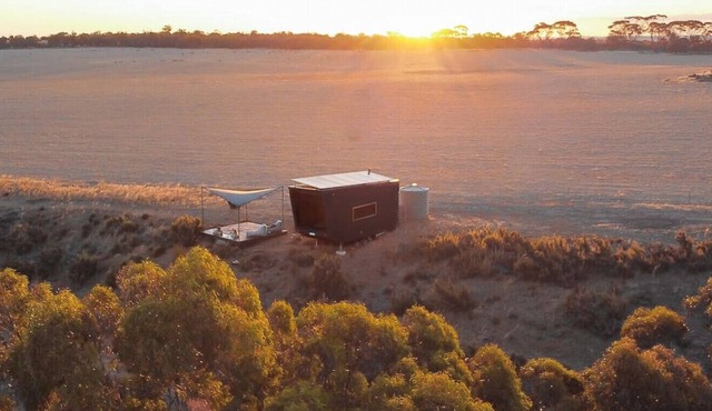 Edna the Tiny Cabin in Narrogin