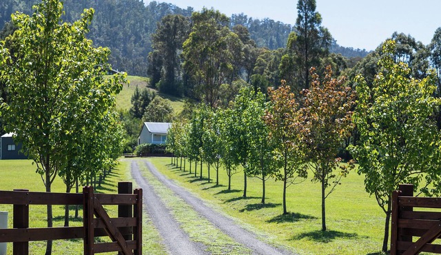 "FERDOUS" - A Peaceful Hideaway in Kangaroo Valley, NSW