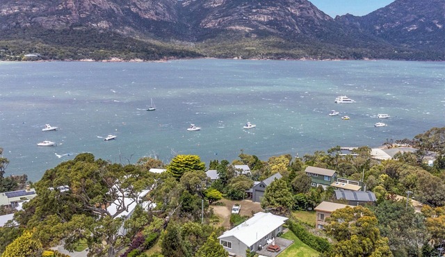 Fish at Freycinet - Freycinet Holiday Houses