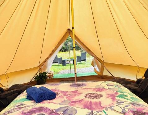 Glamping at Zeehan Bush Camp