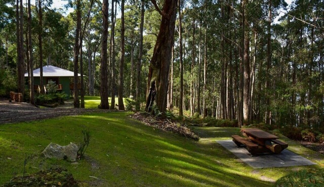 Hastings Bay Retreat – Idyllic Forest Hideaway!