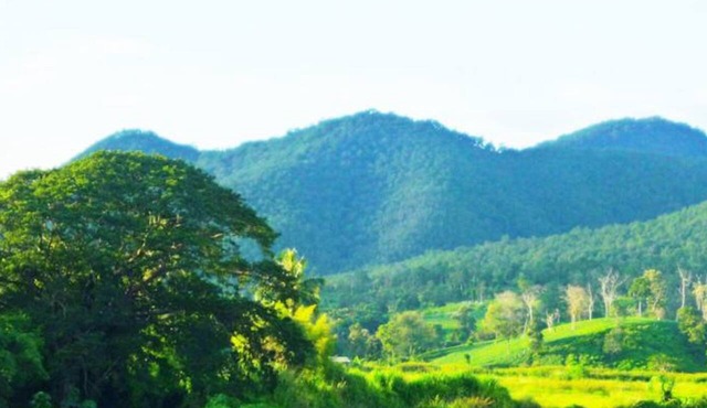 Him Naam Pai Resort in Pai