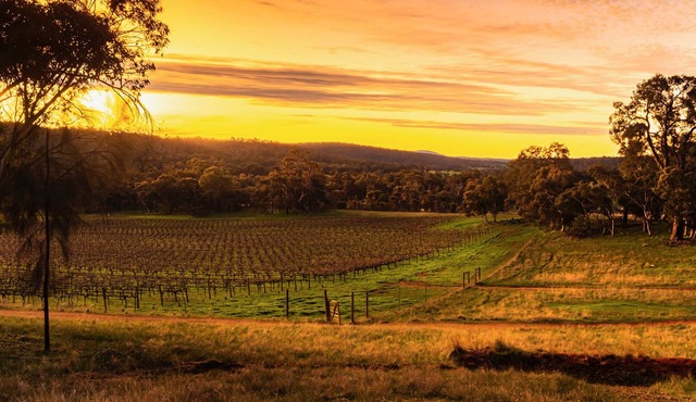 Idyllic Farmhouse overlooking Vineyard on 160 acres