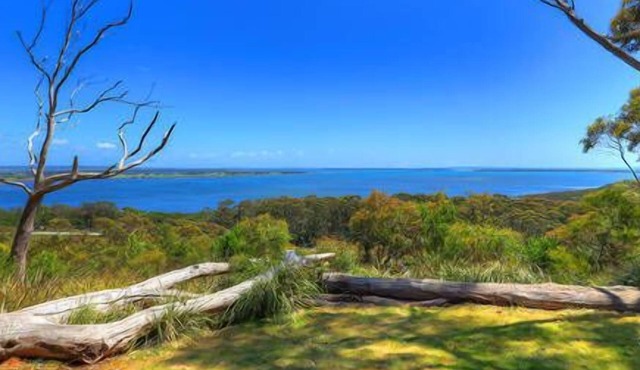 Island View Spa Cottage