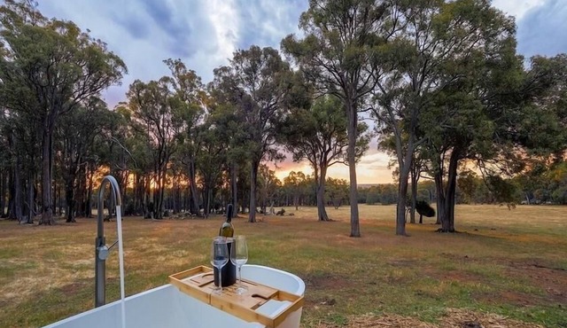 Kaarta - Where Sunsets Ignite the Soul. Named for its hilltop majesty (Noongar for "scarp"), unveils a panorama that steals your breath.