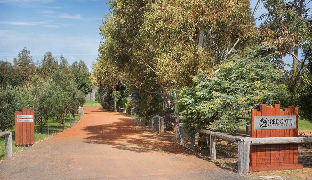 Kanana at Redgate Forest Retreat