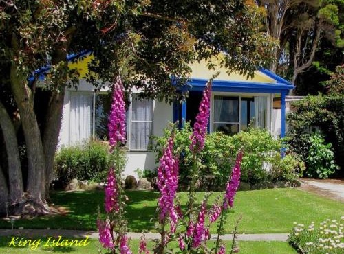 King Island Accommodation Cottages in Naracoopa