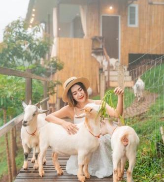 Kirin Farm in Mae Rim