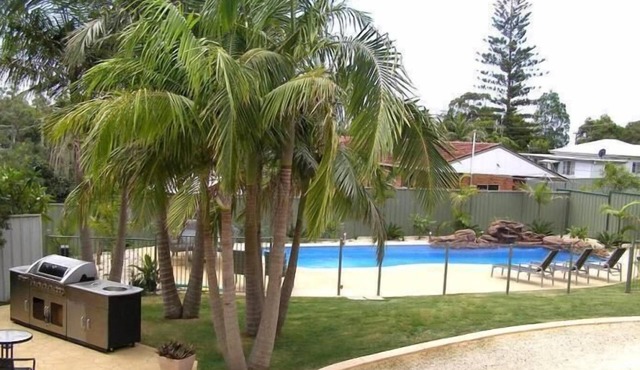 Koala Tree Motel