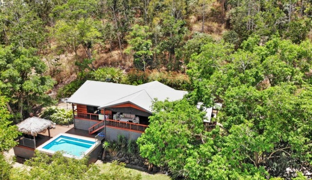 Kookaburra - A Home in the Trees