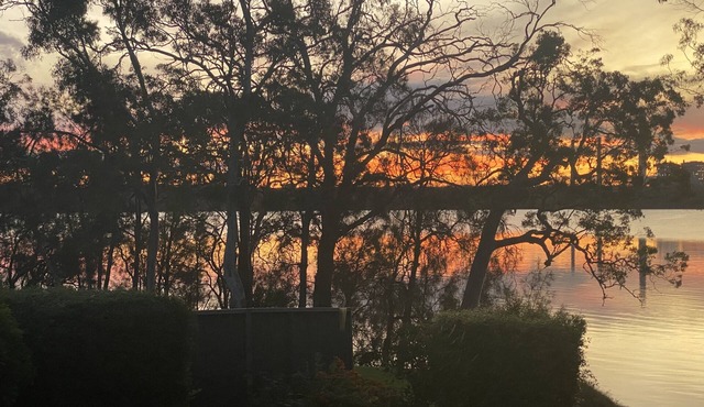 Lakeview Oasis - Reserve waterfront cottage