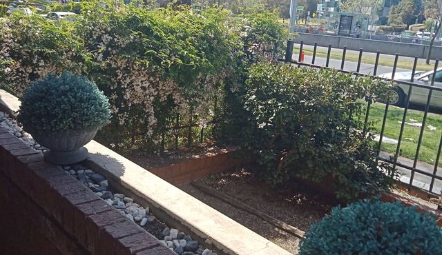 Large spacious apartment very quiet and close to all Melbourne as to offer.
