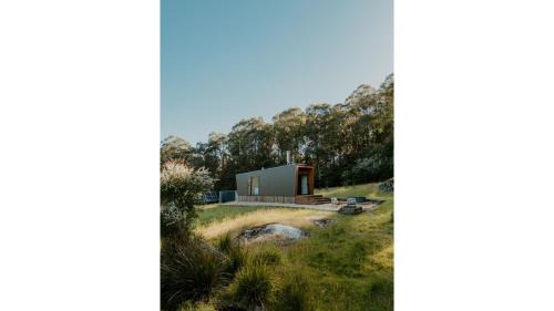 Leo in Noojee