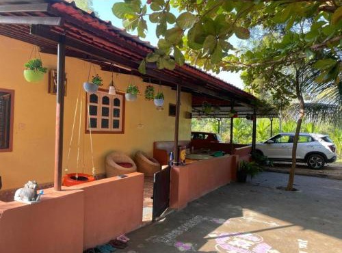 Lilly Areca Farm