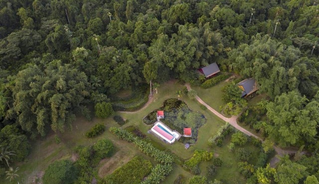 Lillypads Red Cottage - Rainforest Tranquility