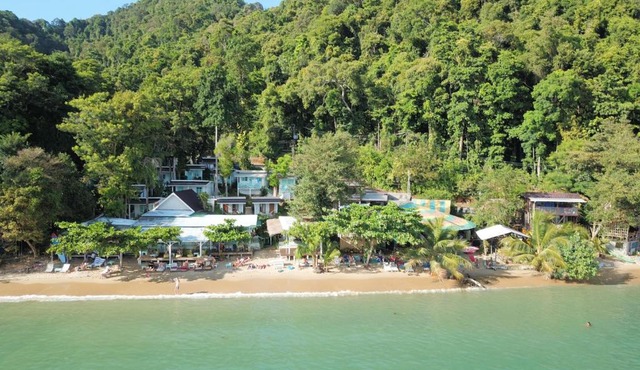 Little Monkey in Ko Chang
