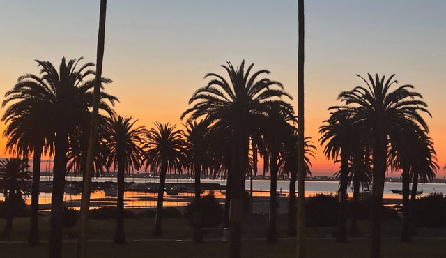 Location Location Location. Everything St Kilda offers is here