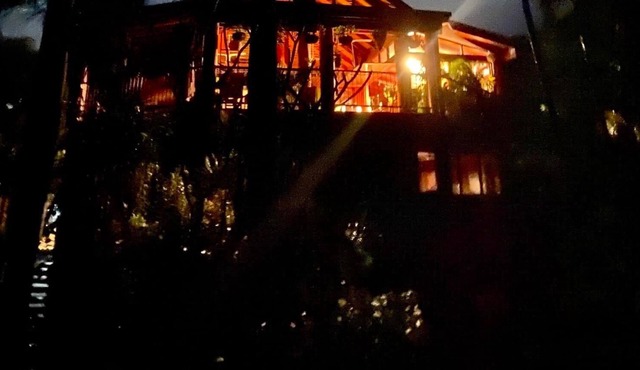 Luxury Treehouse on the Beach. Rainforest Paradise. Remote
