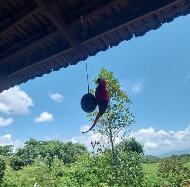 Maati Nature Resort