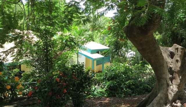 Magnetic Reef 3 - Relaxing tropical getaway with lush gardens and complex pool, minutes to Alma Bay