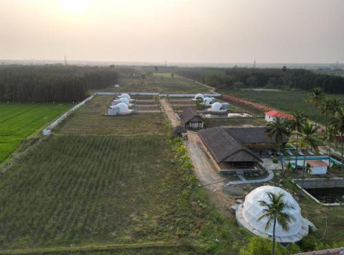 Mandarai in Perumber