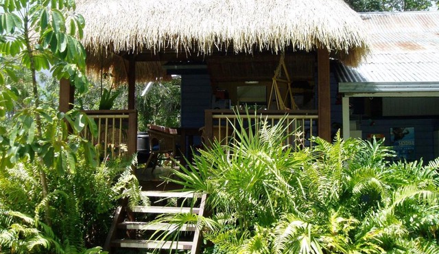 Mango tourist Hostel