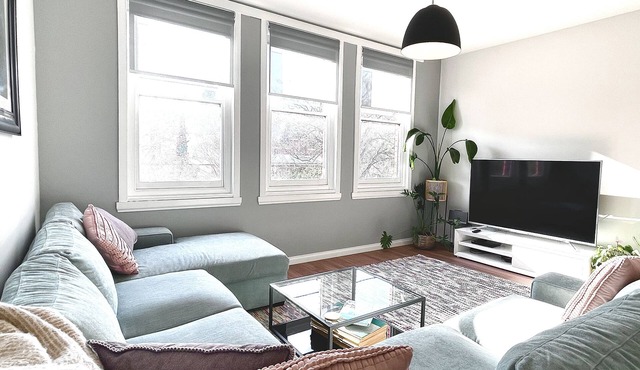 Modern Spacious Apartment across from City Park and the monkeys + free parking!