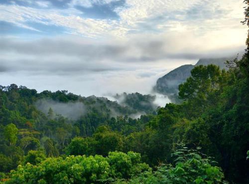 Modern Tor Tao camp in Surat Thani