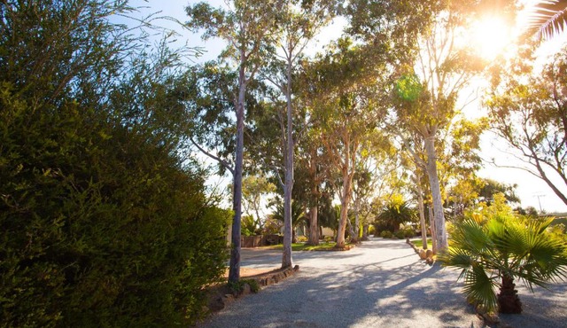 Modra's Apartments