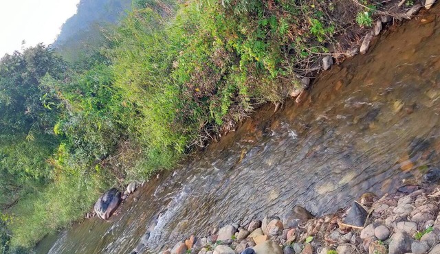 Mong Homestay Resort in Mae Hong Son