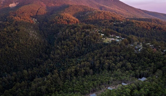 Mosswood - Breath Quiet Hideaways, Hobart