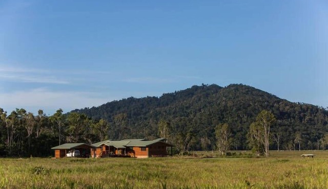Mount Louis Cattle Station