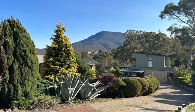 Mountains and Treetops Retreat - Nature Getaway