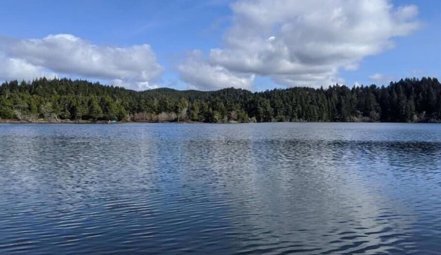 Munsel Lake Landing with its own dock. in Florence