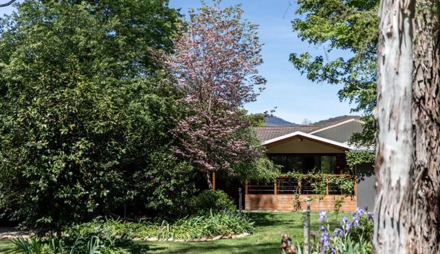 Nest House Bright
