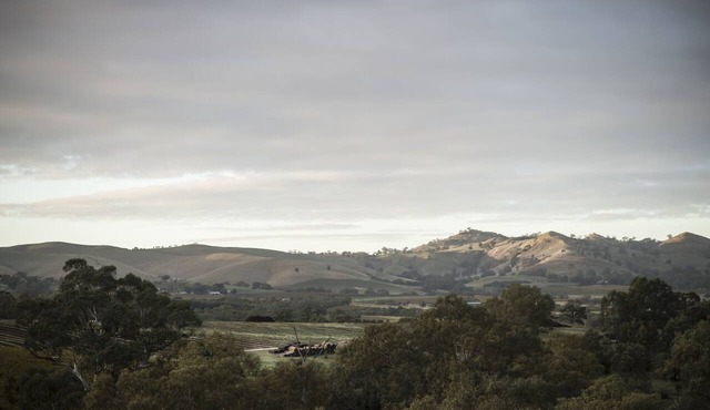 Novotel Barossa Valley Resort