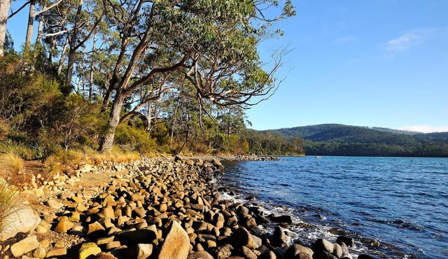 NRMA Port Arthur Holiday Park