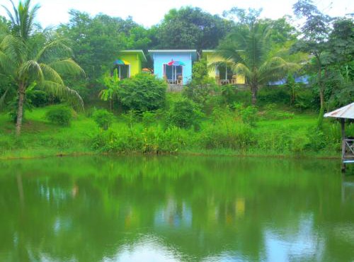 Oasis Pai Resort in Pai