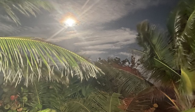 Oceanview Apartment 2 bedroom in Saint Philip